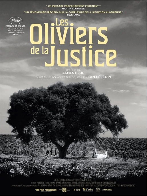 Les oliviers de la justice 1962